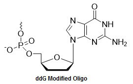 Bio-Synthesis Inc. Oligo Structure